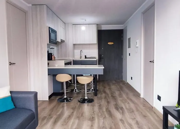 Hermoso Departamento Macul